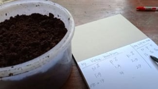 Rahasia Petani Cerdas, Pupuk Gratis dari Kandang Ini Bisa Kalahkan NPK 16-16-16