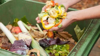 3 Cara Mengolah Sampah Dapur Jadi Pupuk Organik, Tanah Subur Tanaman Tumbuh Subur