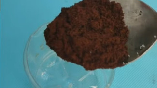 Perangkap Cicak Pakai Kopi? Bisa Banget! Cicak Auto Kapok dan Hilang dari Rumah!