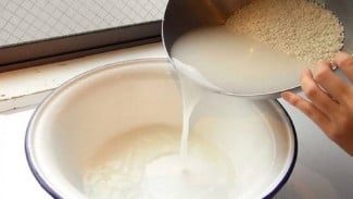 6 Kesalahan Fatal saat Memberikan Air Cucian Beras Pada Tanaman, Awas Jangan Salah!