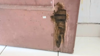 Cara Mudah Memperbaiki Pintu Kayu yang Keropos Agar Tampak Seperti Baru