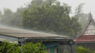 Kesel Rumah Bocor Pas Hujan? Tenang, Inilah Cara Memperbaiki Atap Bocor dengan Mudah!