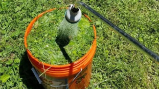 Rahasia Petani Brasil Membuat Pupuk Mahal dan Menyuburkan, Cuma Pakai Rumput Liar!