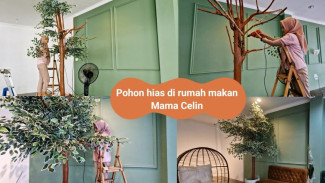 Tips Dekorasi Pakai Ketepeng Kencana Cuma Modal 200 Ribu, Pohon Hias Seperti Asli
