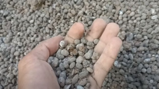 Pupuk dari Kotoran Kambing Tak Lagi Bau dan Panas! Cukup Diracik Begini, Hasilnya Bikin Kagum