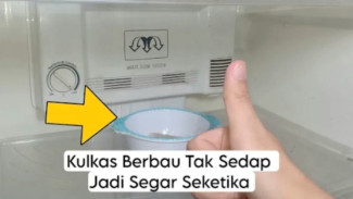 Cara Mudah dan Murah Menghilangkan Bau Tak Sedap di Kulkas
