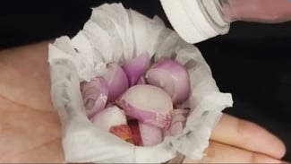 Tikus Betah di Rumah? Coba Ramuan Bawang & Cuka Ini, Tikus Auto Kabur!