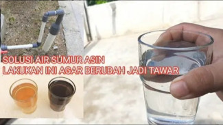 Air Sumur Bor Asin? Begini Trik Campuran Ajaib Biar Rasanya Tawar dan Tetap Jernih!