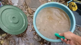 Inilah Cairan Limbah Super Ampuh, Cocok Jadi Pupuk Saat Menyemai Benih Cabai