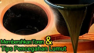 Trik Gampang Bikin Lumut di Toren Air Rontok Total! Bahan Ada di Warung Dekat Rumah
