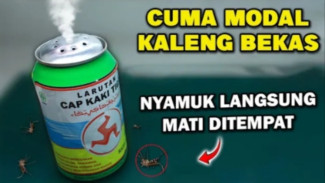 Anti Nyamuk Lewat! Sulap Kaleng Bekas Jadi Pembasmi Nyamuk Paling Ampuh, Nyamuk Auto Minggat!