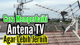 Sinyal TV Hilang Total? Begini Cara Ajaib Perbaiki Antena Analog Rusak Tanpa Teknisi!