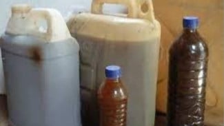 Inilah Rahasia Tanaman Bisa Tumbuh Subur dan Makmur, Ternyata Racikan POC dari Bahan Dapur Sangat Berguna!