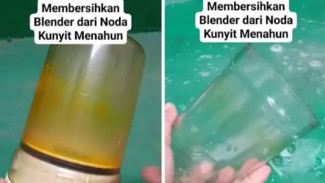 Noda Kuning di Blender Hilang Total! Ini Cara Ampuh Menghilangkan Noda Kunyit di Blender yang Paling Jitu!