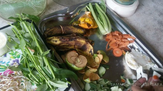 Sampah Dapur Jangan Dibuang! Tips Manfaatkan Sampah Dapur Jadi Pupuk untuk Tanaman