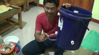 Gak Nyangka! Limbah Dapur Bisa Diubah Jadi Kompos Berkualitas Pakai Ember Bekas Cat