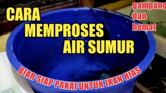 Rahasia Mengolah Air Sumur Supaya Ikan Hias Sehat dan Bebas Penyakit!