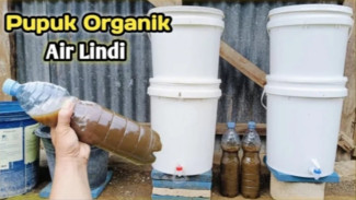 Rahasia Gokil Bikin Pupuk Organik Cair (POC) dari Air Lindi, Cuma Modal Ember Bekas!