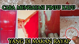 Pintu Kayu Kamu Bolong Dimakan Kutu? Coba Cara Ajaib Ini, Nggak Perlu Tukang!