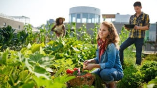 Ingin Punya Kebun di Halaman Tapi Bingung Mulai dari Mana? Langsung Saja Ikuti 7 Tips Ini!