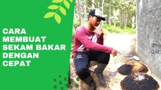 Buat Sekam Bakar Cuma Perlu Waktu 30 Menit, Praktis Tanpa Ribet dan Berkualitas Tinggi