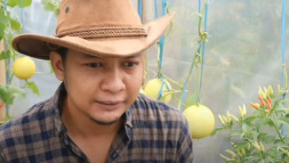 Bikin Kaget! Kompos Ternyata Bukan Pupuk, Ini Fungsi Sebenarnya yang Jarang Diketahui