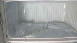 Cara Ajaib Rontokkan Bunga Es Freezer Tanpa Pisau, Gak Perlu Nunggu Semalaman Lagi!