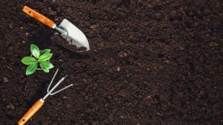 Cara Menyuburkan Tanah Sebelum Ditanami Buah dan Sayur, Cocok untuk Sawah dan Raised Bed