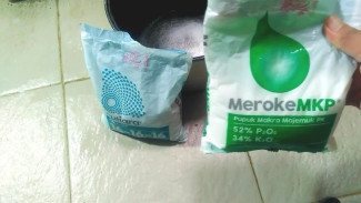 Awas! Pupuk Ini Haram Dicampur, Bikin Tanaman Mati Gosong!