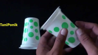 Gelas Plastik Bekas Bisa Disulap Jadi Netpot, Cara Murah Nan Ampuh Buat Kamu yang Hobi Berkebun