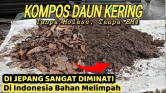 Cara Bikin Kompos Daun Kering Cuma Pakai Tanah, Dijamin Gak Pake Ribet Sama Sekali!