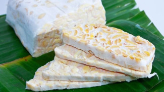 Manfaat Tempe Menurut dr. Zaidul Akbar: Superfood Fermentasi Asli Indonesia