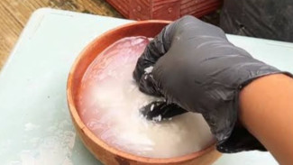 Subur dari Dapur! Berikut 3 Bahan yang Ampuh Menyuburkan Tanaman, 2 Diantaranya Adalah Limbah