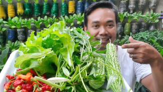 Nasi Basi Dicampur Air Lalu Didiemin 7 Hari, Hasilnya Ampuh Usir Hama Cabe dan Paria Sekaligus