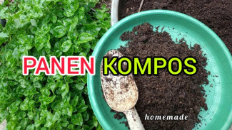 Modal Ember Bekas Bisa Panen Kompos! Ini Rahasia Rumah Bebas Sampah Tanpa Bau Sama Sekali
