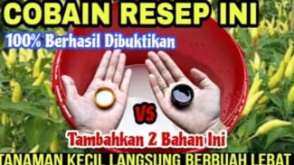 Tanaman Sering Berbunga Tapi Tidak Berbuah? Coba Pupuk Organik Cair Ini!