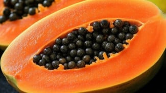 Apa Manfaat Buah Pepaya untuk Kesehatan Lansia? Yuk Simak!