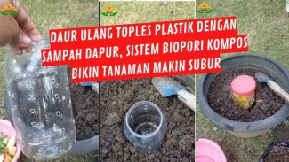 Cara Bikin Lubang Biopori dari Toples Bekas, Tanah Subur Tanaman Sehat