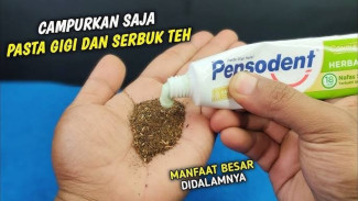 Campurkan Teh Celup dan Odol! Lihat Hasilnya, Sangat Luar Biasa!