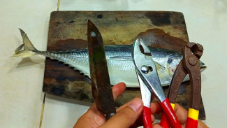 Tips Membersihkan Ikan Kacangan dari Freezer, Buang Sirip dan Kulitnya Tanpa Ribet