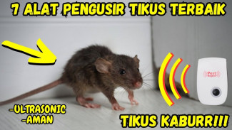 Tikus Nggak Bakal Betah Lagi! Ini 7 Alat Ultrasonik Paling Canggih, Harga Mulai Rp15 Ribuan