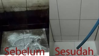 Tak Mempan Disikat? Ini Cara Ampuh Hilangkan Lumut di Bak Kamar Mandi dengan Dioles Ringan