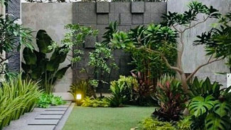 Mau Bikin Taman Estetik di Rumah? Ini Estimasi Biayanya