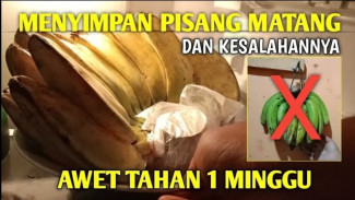 Pisang Awet 7 Hari Tanpa Kulkas? Cuma Butuh Plastik, Tali, dan Posisi Gantung yang Tepat
