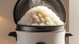 10 Rekomendasi Rice Cooker Low Carbo Terbaik 2025: Sehat, Canggih, dan Multifungsi!