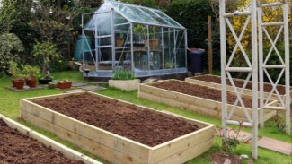 Cara Isi Raised Bed Besar Hemat Media Tanam, Tanaman Lebih Subur dan Sehat