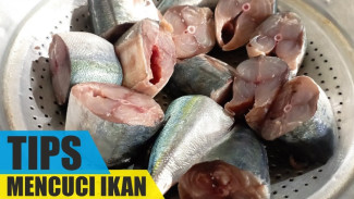Trik Mudah Membersihkan Ikan, Tambahkan Pakai Asam Jawa agar Bebas Bau Amis
