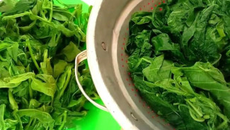 Daun Singkong Tetap Hijau dan Empuk dalam 5 Menit, Pakai Garam dan Air Mendidih Saja!