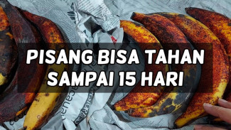 Pisang Tanduk Busuk Sebelum Digoreng? Coba Trik Ajaib Ini Biar Awet Sampai 15 Hari di Kulkas!
