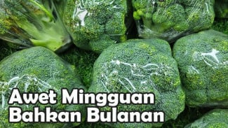 Tips Menyimpan Brokoli Biar Awet Berbulan-bulan, Nggak Bakal Menguning Lagi